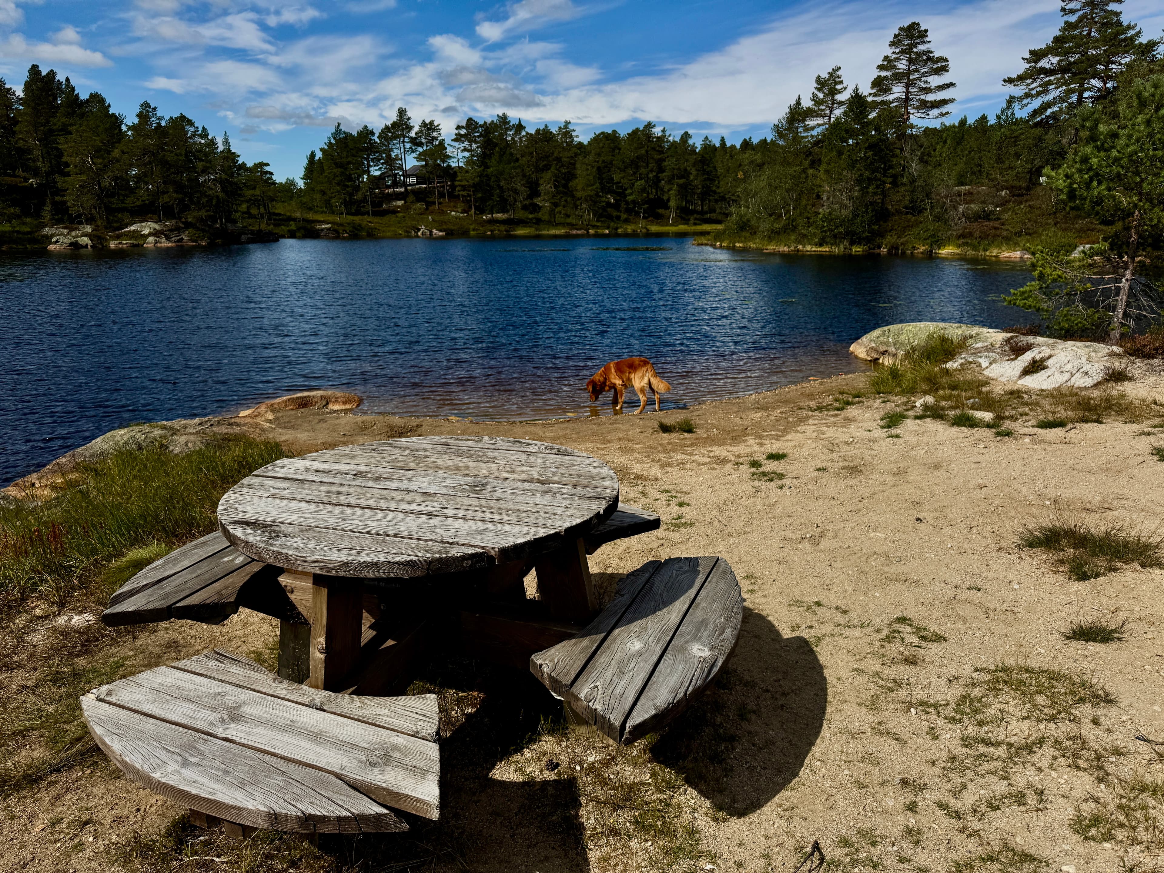 Badestrand ved vannet nær Lindeview